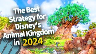 The Best Strategy for Disney's Animal Kingdom in 2024