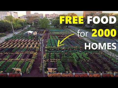 How 3 acres feeds 2000 homes, in America's first agrihood!