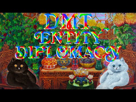 DMT Entity Diplomacy With Dr. Andrew Gallimore