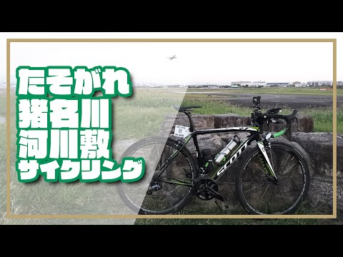 【ロードバイク】たそがれ猪名川河川敷サイクリング