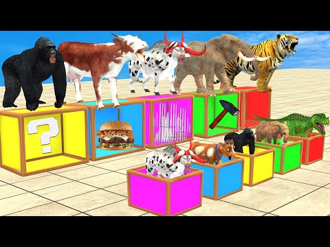 Don't Step on The WRONG BOX Challenge With Elephant, Cow, Tiger, Gorilla,  Animals Mystery Box Game