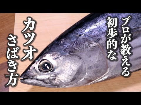 【鰹カツオの捌き方】プロが教える簡単な3枚おろし