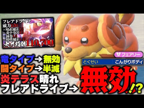 【検証】こんがりボディ「バウッツェル」で本当にコライドンを対策できるのか？【ポケモンSV】