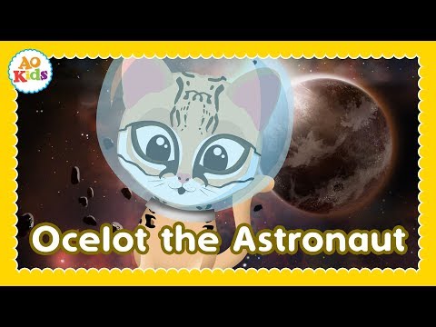 Ocelot the Astronaut | Original Kid's Song