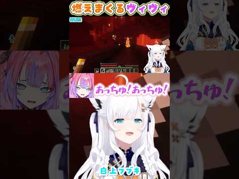 あっちゅあっちゅする全ロスヴィヴィ【白上フブキ/綺々羅々ヴィヴィ/マイクラ/ホロライブ】