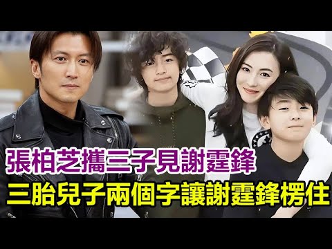 張柏芝攜三子見謝霆鋒，三胎兒子兩個字讓謝霆鋒楞住，生父是誰一目了然！網友：張柏芝教的！#張柏芝 #謝霆鋒 #王菲 #謝賢