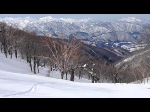 猿ヶ馬場山BC