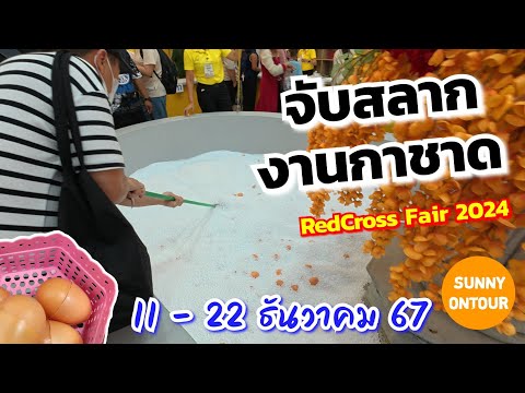 ไปสอยดาว ตักไข่ งานกาชาด สวนลุมพินี​ ตอนกลางวัน!! Red​cross​ Fair​ 2024​ | Sunny​ ontour​ - 15/12/67