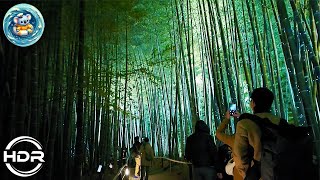 [Kyoto] Japanese Garden at Kodaiji Temple at night. #walking_tour