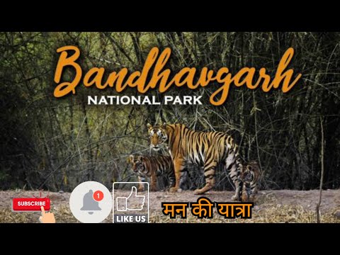 Bandhavgarh National park || बांधवगढ़ नेशनल पार्क||.. #bandhavgarhtigerreserve #madhyapradesh