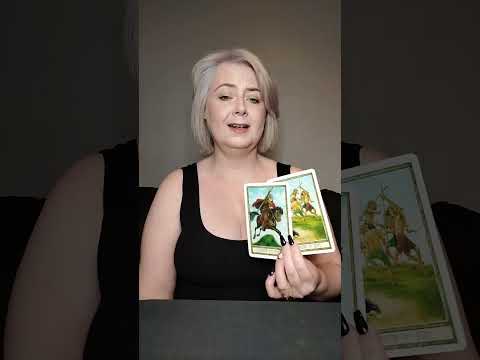 love reading for the collective. tarot and oracle card reading