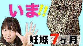 現在妊娠７ヶ月！ママが始めたことは？今どんなようす？