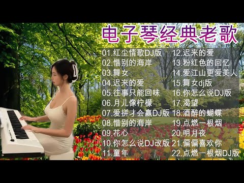 【非常好听】👍👍 20首 电子琴伴奏DJ舞曲，3D環繞立體聲，车载必备音乐电子琴 《爱拼才会赢》《恰似你的温柔》《梁祝》《人间第一情》《走天涯》《一剪梅》《乌苏里船歌》懷舊金曲，再憶經典，車載音樂