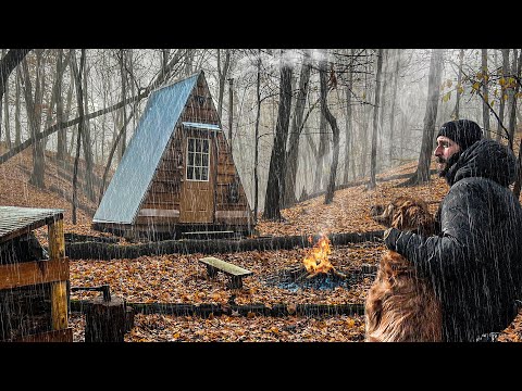 Winter Camping in HEAVY RAIN w/ my Dog at the Cabin