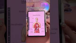 iPad note taking Infinite ZOOM 🤯 take notes with me | digital notes | InfinitePro app | study notes