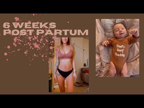 6 WEEKS POST PARTUM UPDATE | VEGAN NEWBORN