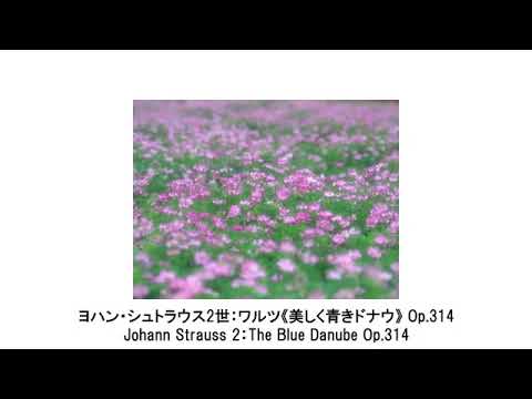 穏やかな気持ちになれる癒しのクラシック名曲集・Calm Classic Collection（長時間作業用BGM)