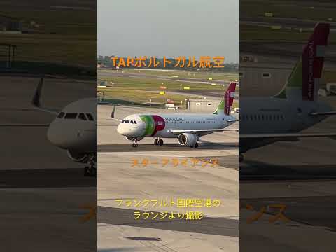 TAPポルトガル航空　スターアライアンス