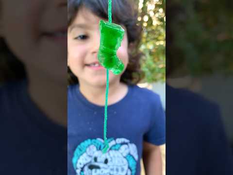 Christmas Science Experiment for Kids🎄How to pick up ice with a string #shorts #scienceforkids