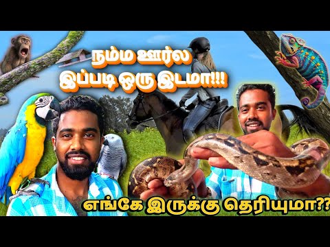 நம்ம புதுக்கோட்டையில் இப்படி ஒரு இடமா🫣| பல வகையான உயிரினம்🐍| #ibrahimfarm #pudukkottai #vlog