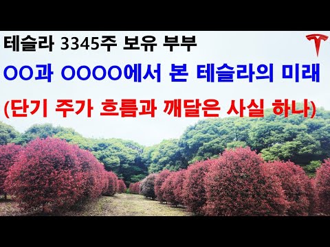 ㅇㅇ과 ㅇㅇㅇㅇ에서 본 테슬라의 미래! (단기 주가 흐름과 경험을 통해 깨달은 사실 하나)