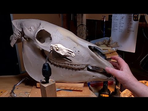 A BURR ON THE SADDLE BLANKET   Redoing the Horses Head