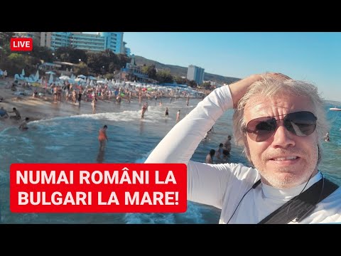 🔴 TOȚI ROMÂNII sunt AICI la NISIPURILE de AUR - Se mai FURĂ MAȘINI pe LITORALUL BULGĂRESC?