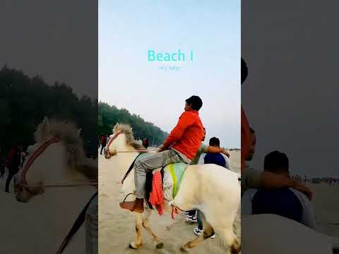 The Beach Pilot #coxsbazar #horse #seebeach