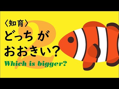 【シンプル知育】どっちが おおきい？  その2