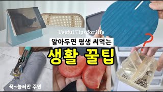 알아두면 평생 써먹는 생활꿀팁! 주부생활 19년 고민해결 빨래 쉰내 해결팁ㅣ실리콘 얼룩 제거ㅣ초간단 북레스트ㅣ 과즙 흐르지 않게 토마토 자르기