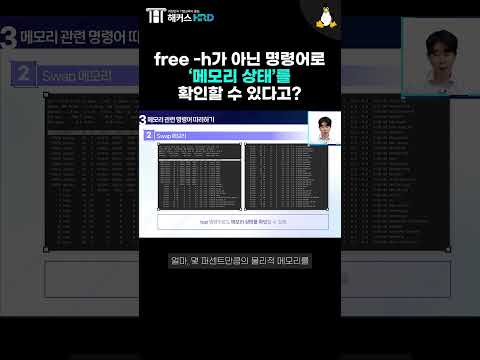 [리눅스] 리눅스 메모리 상태 확인 핵심 명령어! (Linux Memory)