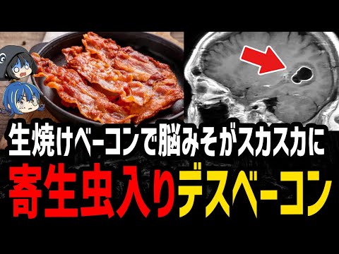 【ゆっくり解説】生焼けベーコンで死にかける…危険すぎるデス食品事件３選