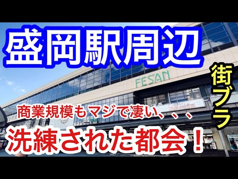 【洗練された都会】岩手県「盛岡駅」周辺を散策！商業規模が大きく、繁華街エリアがとても広い。そして、街並みや見所の美しさに、もはや脱帽でした！