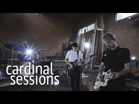 Neufundland - Liebe - CARDINAL SESSIONS