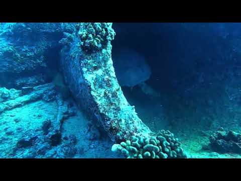 Honolulu - Sunken Boat Scuba Diving Vlog Music Video(2024)