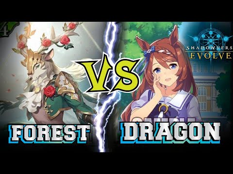 BOX TOURNAMENT FINALS! | Forestcraft vs Discard Dragoncraft | Shadowverse Evolve Gameplay