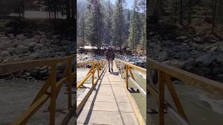 Katagla Parvati Valley | Kasol Himachal Pradesh #katagla #kasol #parvativalley