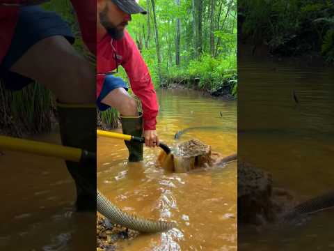 Sneak Peek Finding Beautiful Eastern NC Gold with a highbanker at the Nc Treasure Hunters CampGround