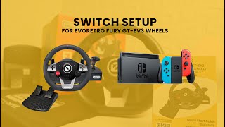 EVORETRO | How to setup FURY GT-EV3 on Nintendo Switch?