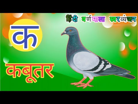 क से कबूतर ख से खरगोश / Ka se kabutar kha se khargosh Ga se Gamla / Hindi Varnamala Alphabets (कखग)N