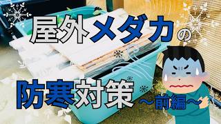 【屋外メダカの冬支度(前編)】100均ダイソーグッズで防寒対策【めだかビオトープの越冬準備】