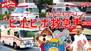 【ほんもの！】ピポピポ救急車 2021 おかあさんといっしょ　にこにこぷん　実写版