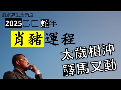 2025年肖豬運程|太歲相沖 驛馬又動 | 驛馬 左輔 國印 | 劉鎮鋒生活頻道