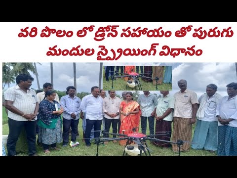 మీ ఊరు లో డ్రోన్ తో స్ప్రే చేస్తే కామెంట్ చేయండి.👆🏻#dronespray #dronevideo #drone