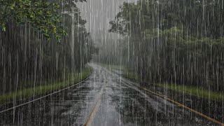 Rain Sound to Sleep Deeply and Relax in 3 Minutes - Relaxing Rain in the Forest