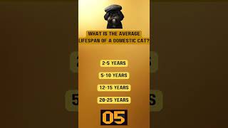 What is the Average Lifespan of a Cat?