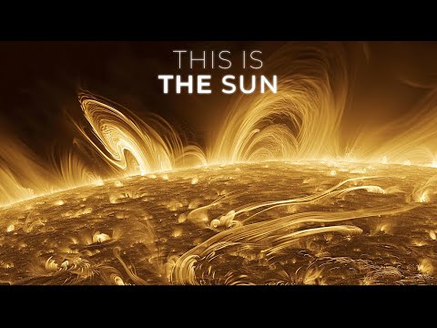 What NASA Discovered In The Sun?