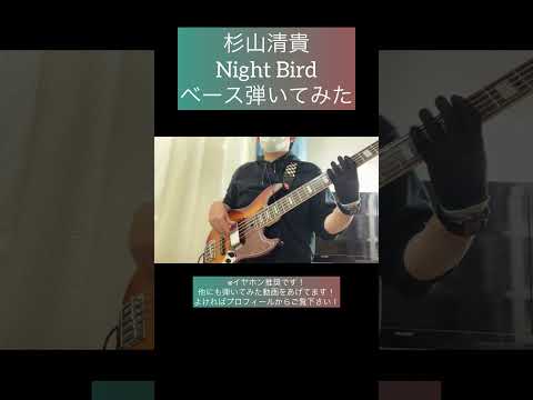 Night Bird / 杉山清貴 【ベース弾いてみた】 #shorts #ベース #ベース弾いてみた #bass #basscover #杉山清貴