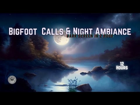 Deep Sleep with Night Ambiance and Bigfoot Calls ⨀ Mystical White Noise ⨀