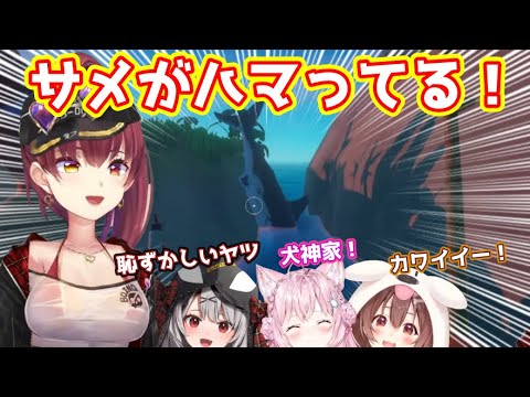 ワザップなのかどうか議論してたらサメスタック！【ホロライブ/切り抜き/宝鐘マリン/戌神ころね/沙花又クロヱ/博衣こより】